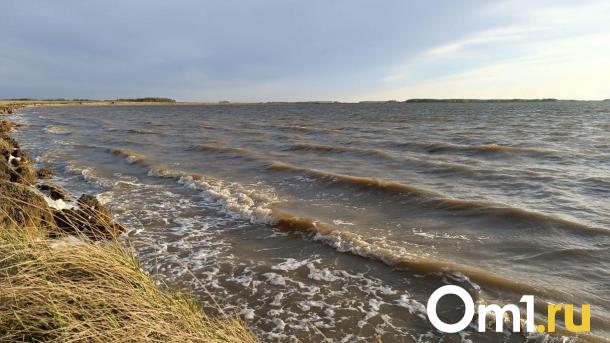 Цифры пугают: в Омской области вода унесла десятки жизней