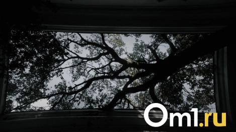 Родители погибшей в Риме омички примут участие в эфире итальянского телевидения