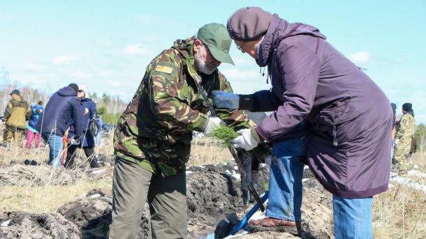 Под Омском высадят 9 тысяч сосен в форме фразы «ПОБЕДЕ – 80»