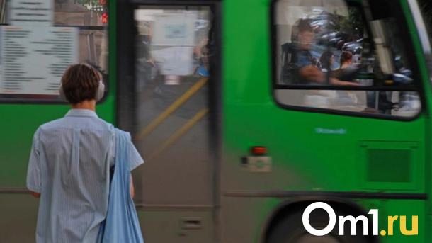 Водитель автобуса предстанет перед судом за смерть пенсионерки в Новосибирске