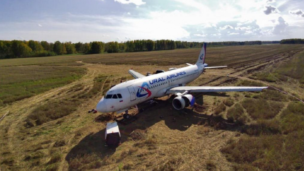 Командир севшего в пшеничном поле Airbus уволился из авиакомпании