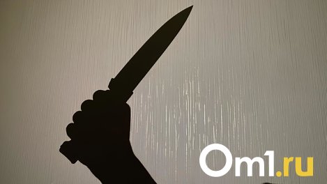 Омичка, не платившая алименты, зарезала мужа