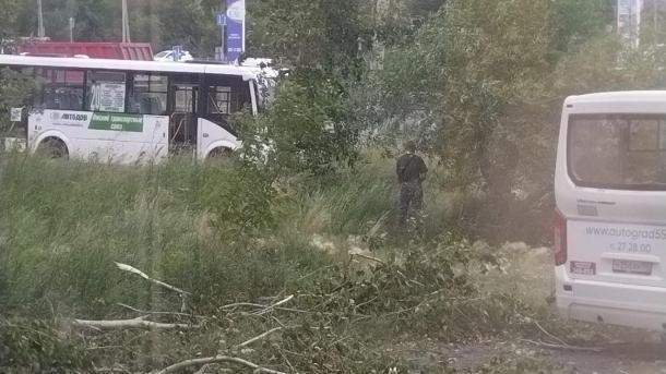 Омичи пожаловались на водителей, справляющих нужду у жилых домов