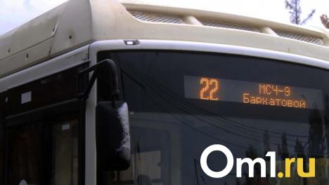 В Омске ищут замену «ПП-8» на восемь маршрутов