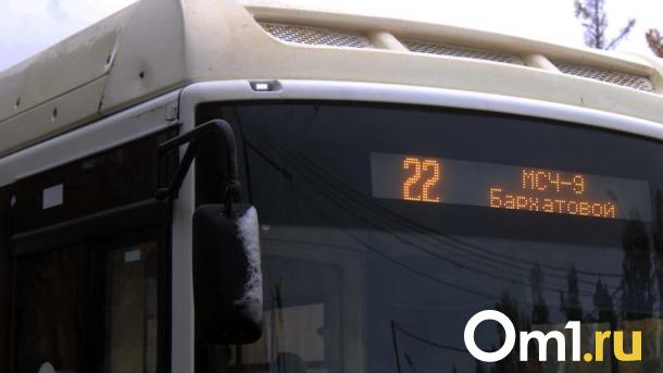 В Омске ищут замену «ПП-8» на восемь маршрутов