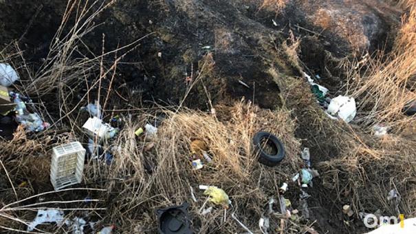 Свалку на площади 156 га ликвидировали в Новосибирске