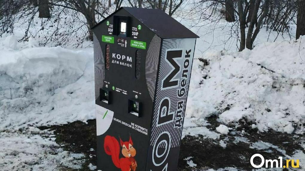 В омском парке появились автоматы с платным кормом для белок