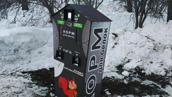 В омском парке появились автоматы с платным кормом для белок