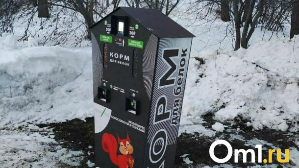 В омском парке появились автоматы с платным кормом для белок
