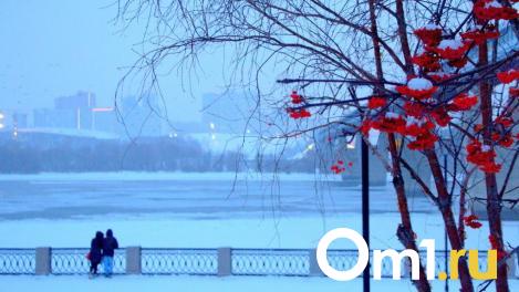 Готовьте лопаты: к Омску приближается огромный снежный циклон