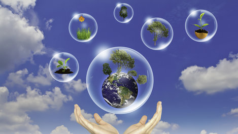 МегаФон впервые внедрил систему цифрового экологического мониторинга за рубежом