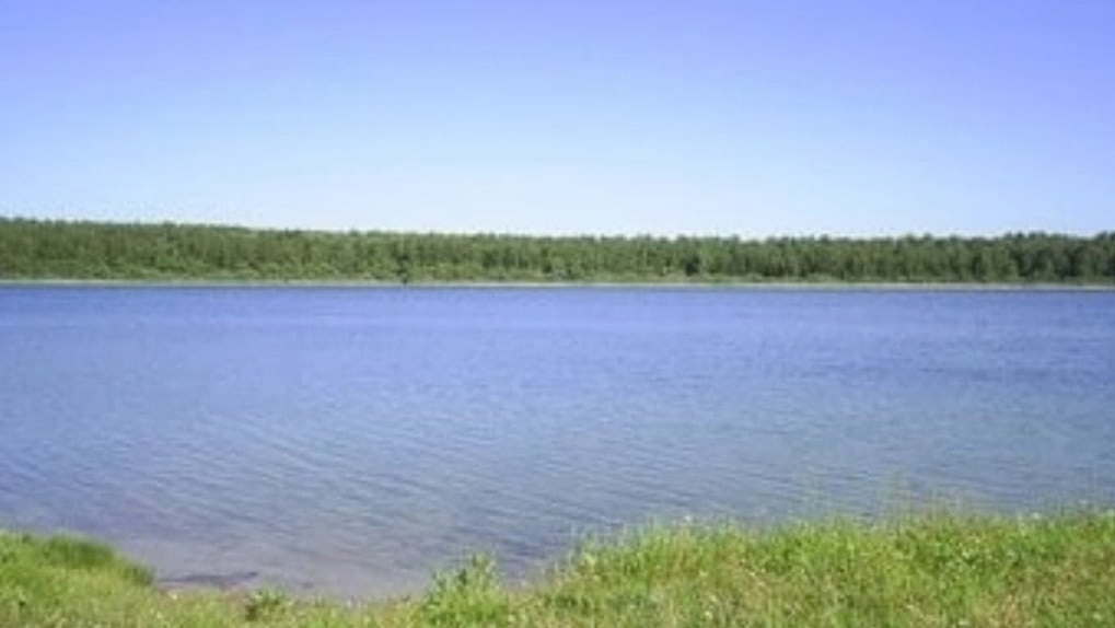 Бросались с топорами: пьяные отдыхающие избили 9-летнего ребёнка на озере в Новосибирской области