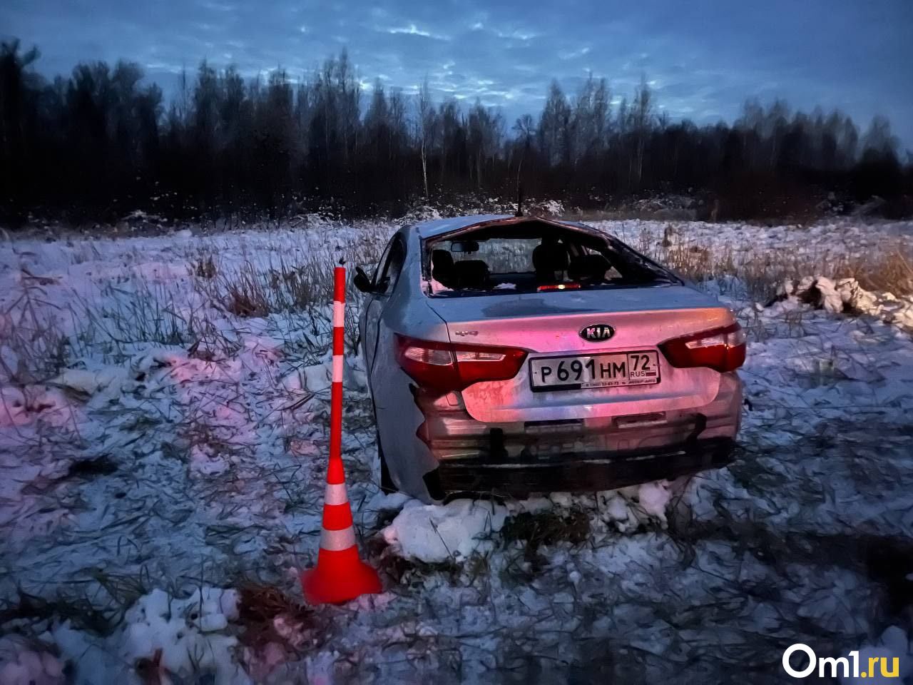 Улетела в кювет. В ДТП на трассе Тюмень-Омск пострадали женщина и трое  детей | 30.10.2023 | Омск - БезФормата