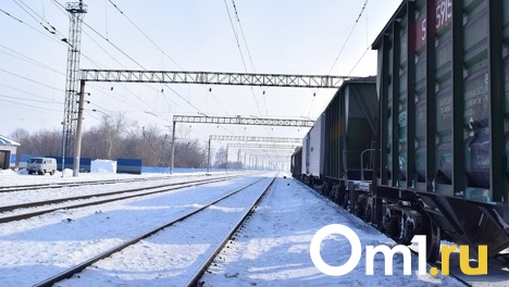 Сход вагонов с рельсов в Омской области ликвидировали за четыре часа