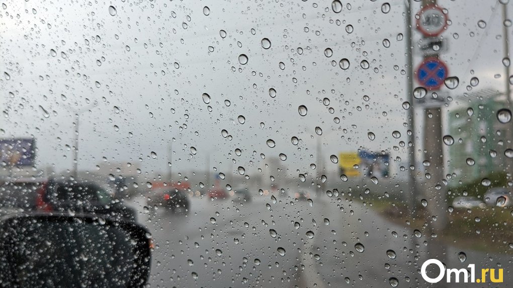 Могут оборваться провода: рабочая неделя начнётся в Омске с дождей и сильного ветра