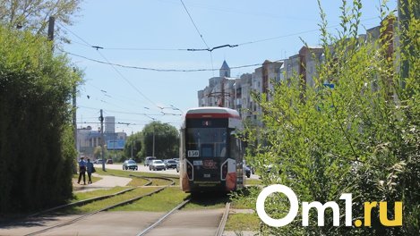 В Омске голову трёхлетней девочки зажало в дверях трамвая