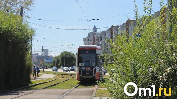 В Омске голову трёхлетней девочки зажало в дверях трамвая