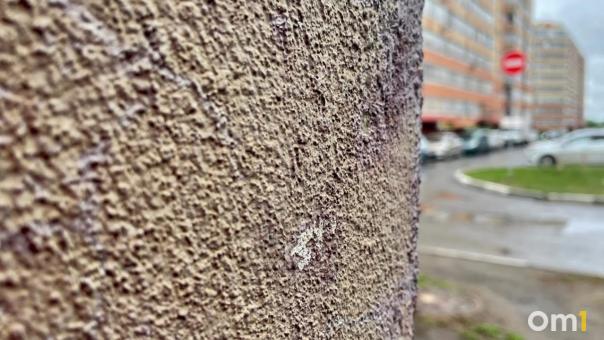 В Омске заброшенный долгострой превратится в ТЦ