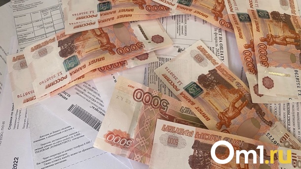 Руководителя Росздравнадзора Новосибирской области Елену Хрусталёву отправили под домашний арест