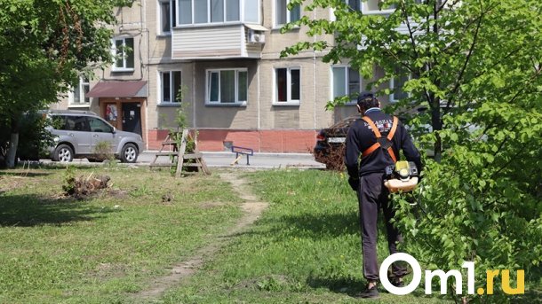 Труп мужчины нашли в кустах в Новосибирской области