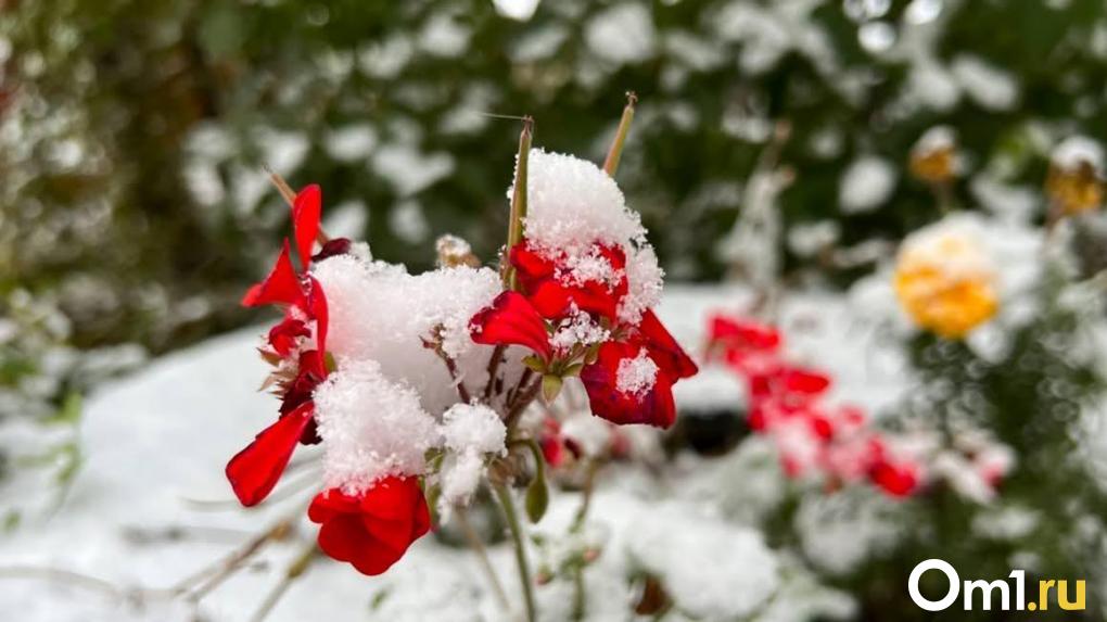 На Радоницу в Омской области синоптики пообещали снег