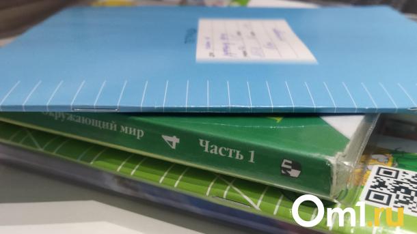 В Омске начала снижаться заболеваемость в школах и детских садах
