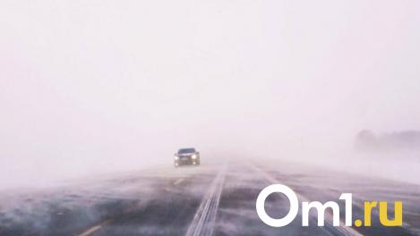 Омичей ждёт неделя снегопадов