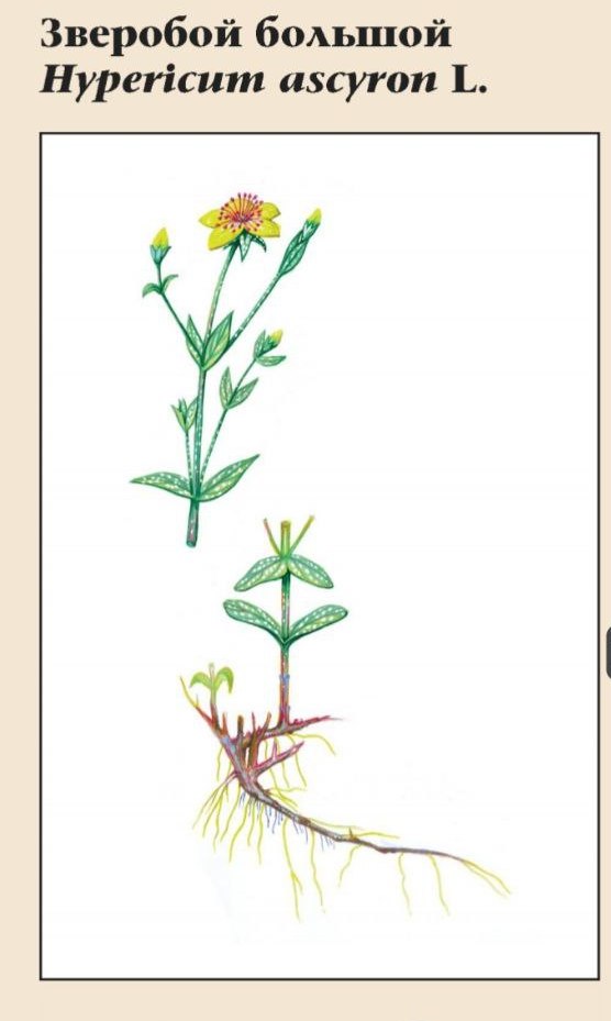 Изображение фоторепортажа