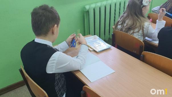 В Новосибирске затравившего всю школу третьеклассника перевели на домашнее обучение