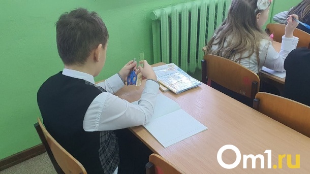 В Новосибирске затравившего всю школу третьеклассника перевели на домашнее обучение