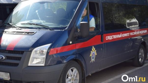 Следователи начали проверку после нападения двух мужчин на 12-летнего мальчика в Новосибирске