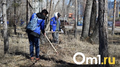 За выходные с омских улиц вывезли 500 тонн мусора