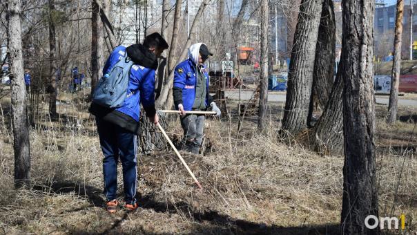 За выходные с омских улиц вывезли 500 тонн мусора