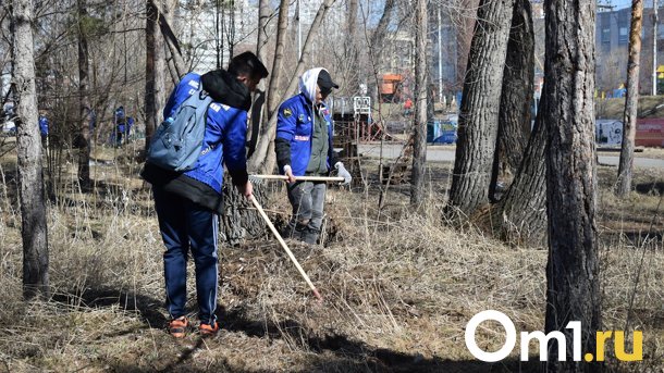 За выходные с омских улиц вывезли 500 тонн мусора