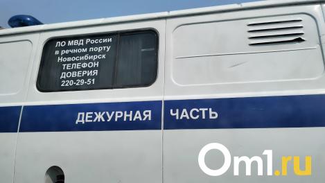Пропавшую неделю назад новосибирскую школьницу нашли в Московской области