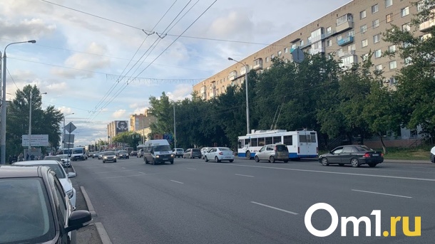 Омича за пьяное вождение отправили в колонию на год