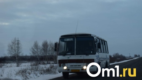 В «Омскоблавтотрансе» изменили расписание рейсовых автобусов из-за новогодних праздников