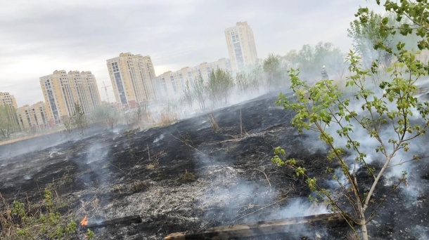 В Омске двоих детей застали на поджоге травы у жилых домов