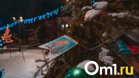 Омскую ёлку представили в новогодней столице России
