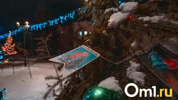 Омскую ёлку представили в новогодней столице России