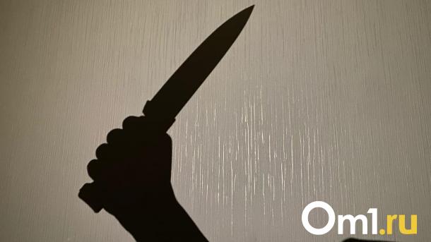 «Отнял телефон и ранил ножом»: в Омске арестовали грабителя
