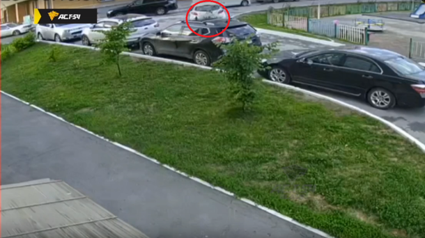 В Новосибирске кот упал на машину с 23-го этажа высотки и выжил. ВИДЕО
