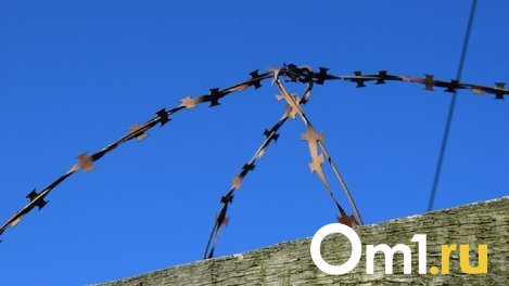 Мошенников, которые обокрали омских пенсионеров, лишат свободы на 6 лет