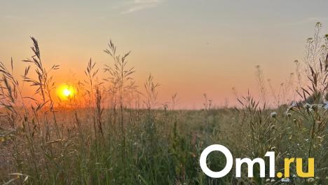 Сплошное разочарование: синоптики дали прогноз погоды в Омске на новую неделю