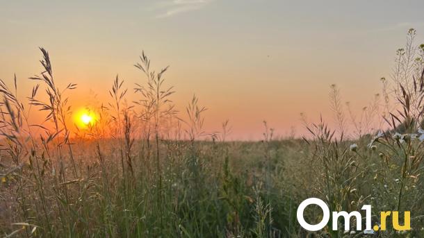 Сплошное разочарование: синоптики дали прогноз погоды в Омске на новую неделю