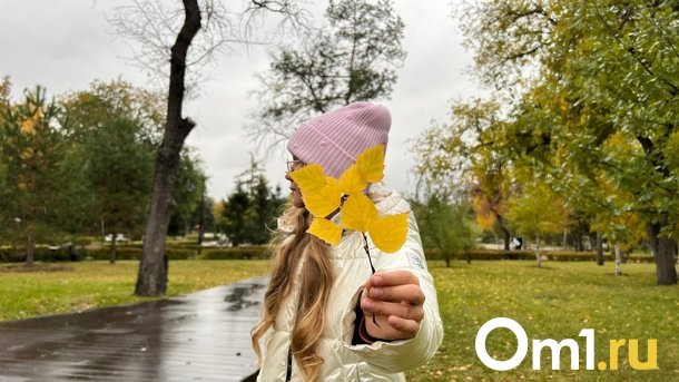 Вдохновиться и следить за погодой: как получить лучшие осенние фотографии?