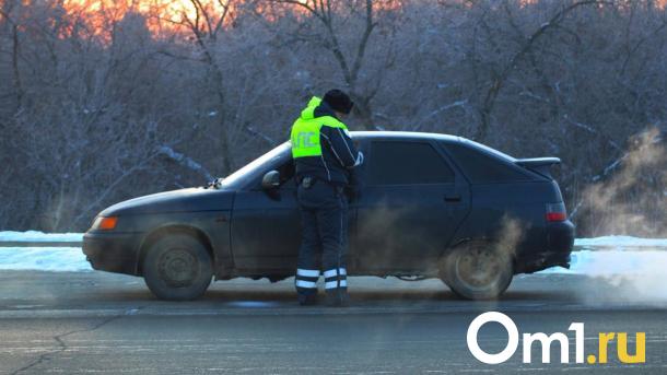 Замерзающую участницу ДТП спасли сотрудники ДПС под Новосибирском