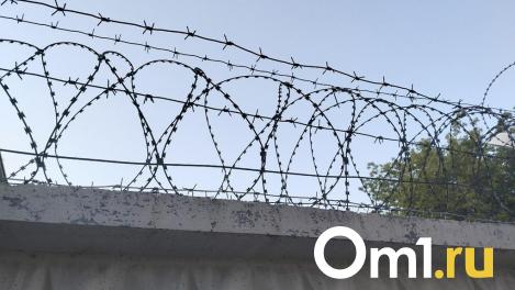 Изнасиловал и задушил: омский суд рассмотрит дело об убийстве двадцатилетней давности