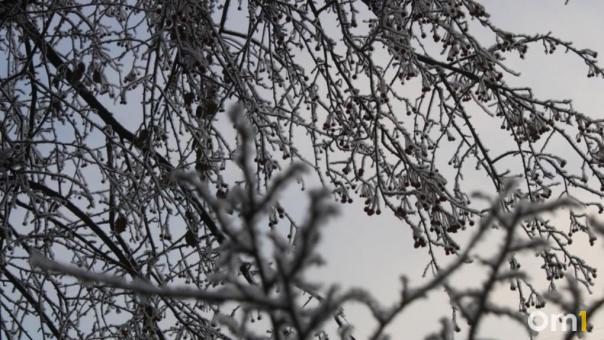 Ветрено и слишком тепло. Омск оказался во власти антициклона