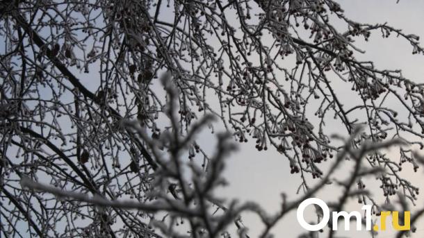 Ветрено и слишком тепло. Омск оказался во власти антициклона